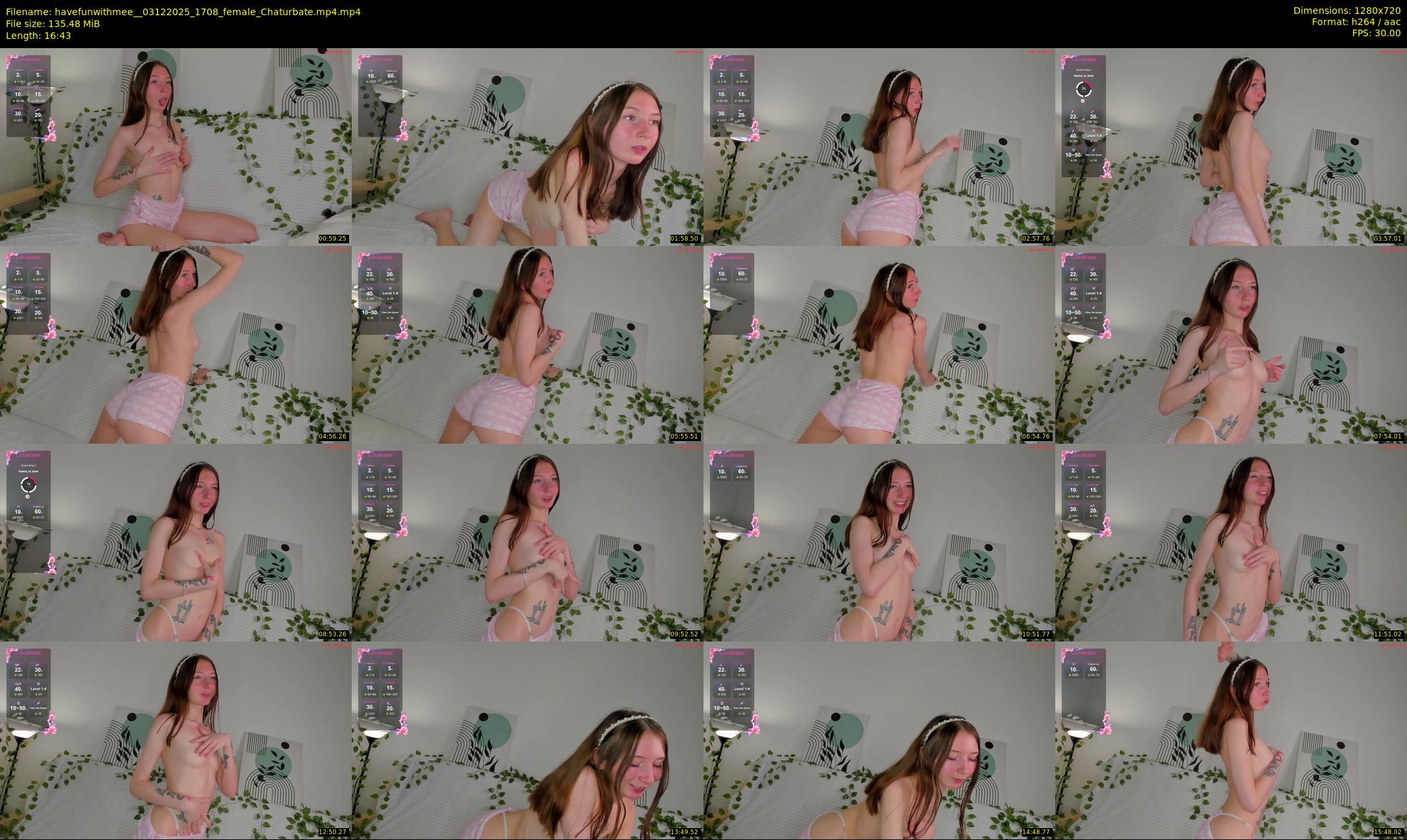 havefunwithmee_ — 17 minute Chaturbate female cam show recording, 720p, Dec 3, 2025