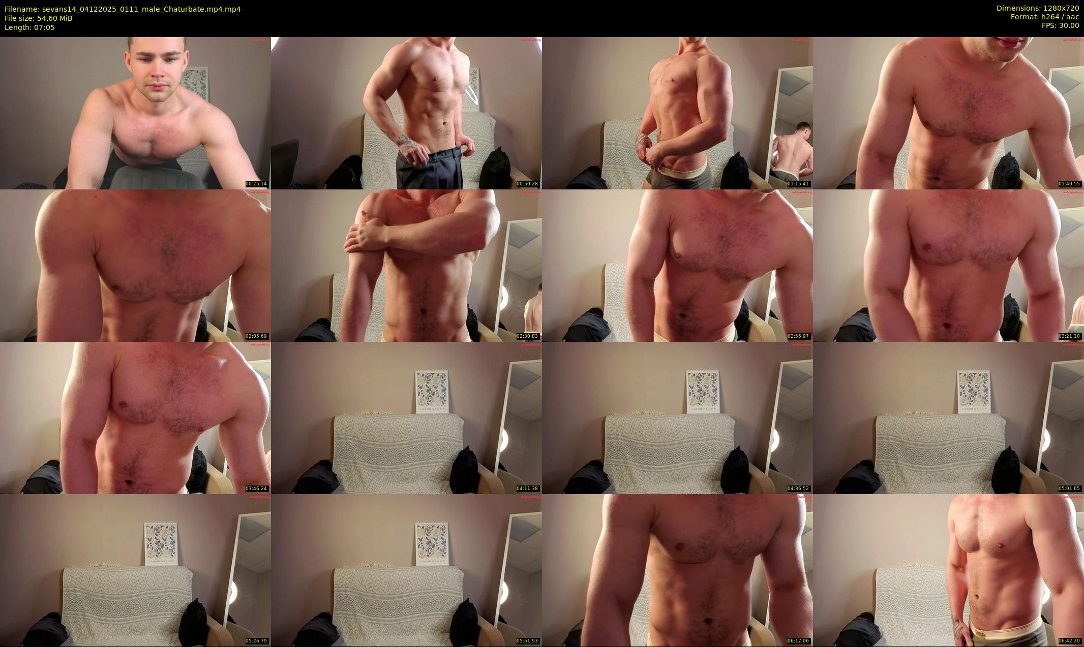 sevans14 — 8 minute Chaturbate male cam show recording, 720p, Dec 4, 2025