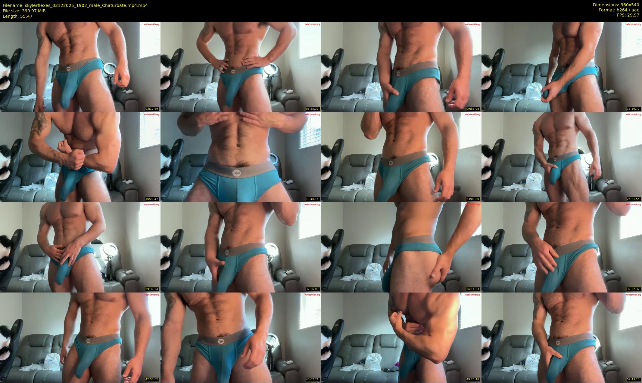 skylerflexes — 56 minute Chaturbate male cam show recording, 480p, Dec 3, 2025