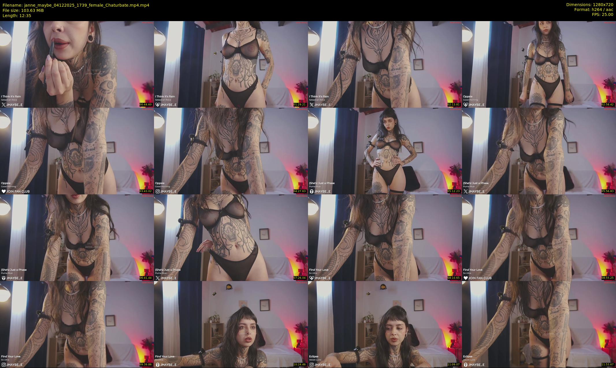 janne_maybe — 13 minute Chaturbate female cam show recording, 720p, Dec 4, 2025