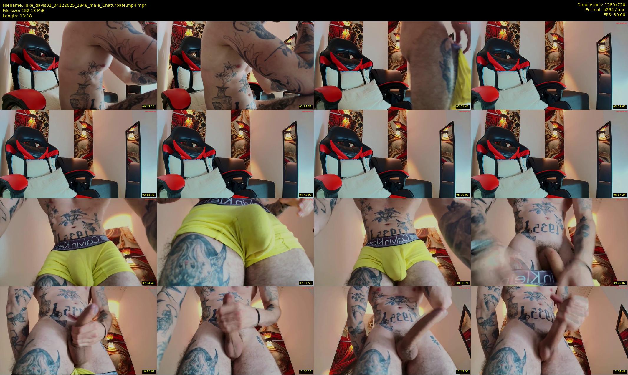 luke_davis01 — 14 minute Chaturbate male cam show recording, 720p, Dec 4, 2025