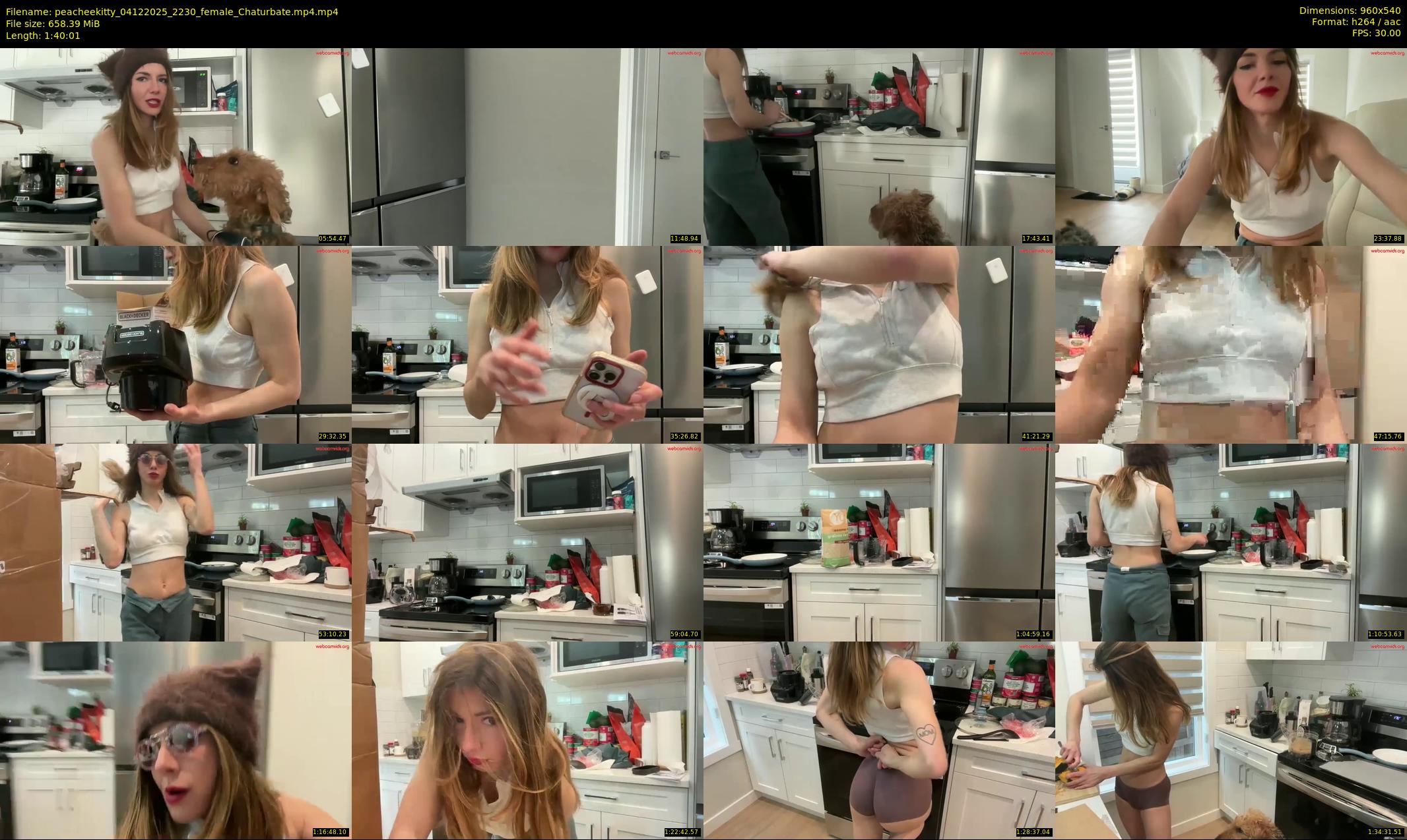 peacheekitty — 101 minute Chaturbate female cam show recording, 480p, Dec 4, 2025