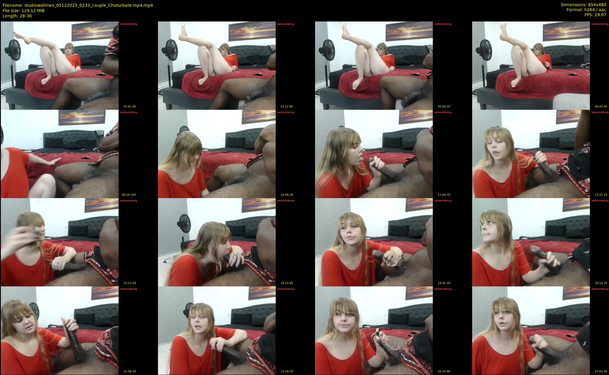 studiowahines — 29 minute Chaturbate couple cam show recording, 480p, Dec 5, 2025