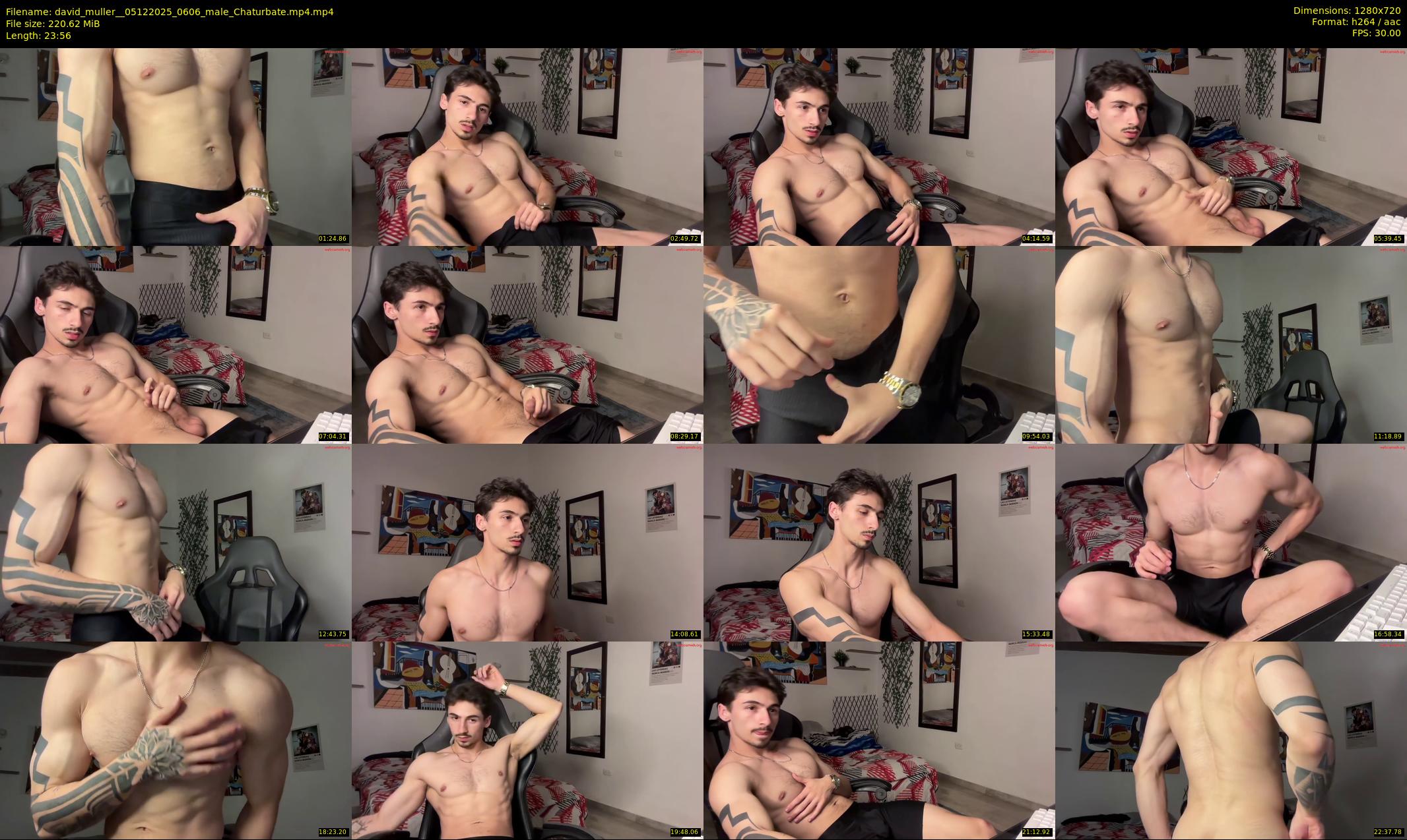 david_muller_ — 24 minute Chaturbate male cam show recording, 720p, Dec 5, 2025