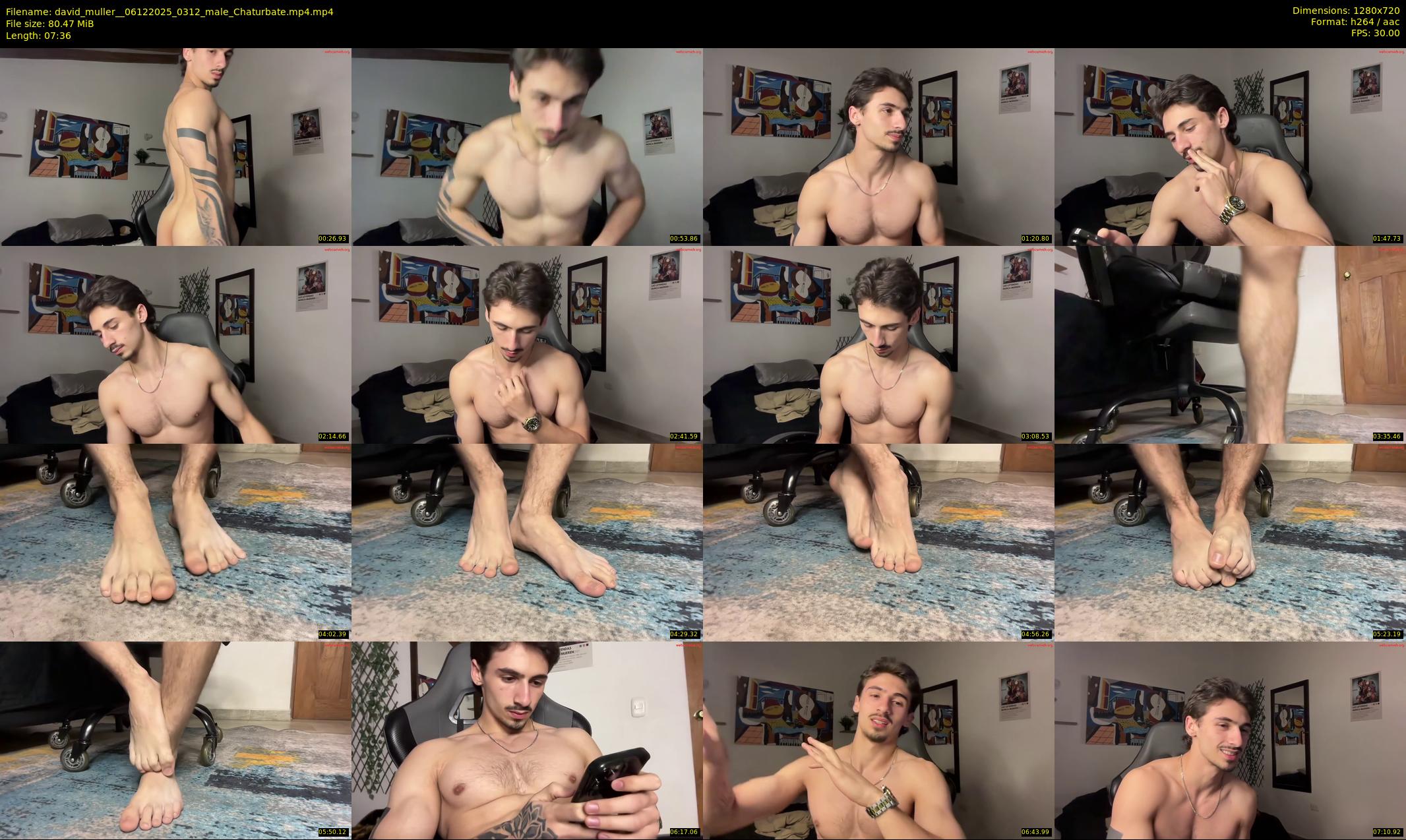 david_muller_ — 8 minute Chaturbate male cam show recording, 720p, Dec 6, 2025