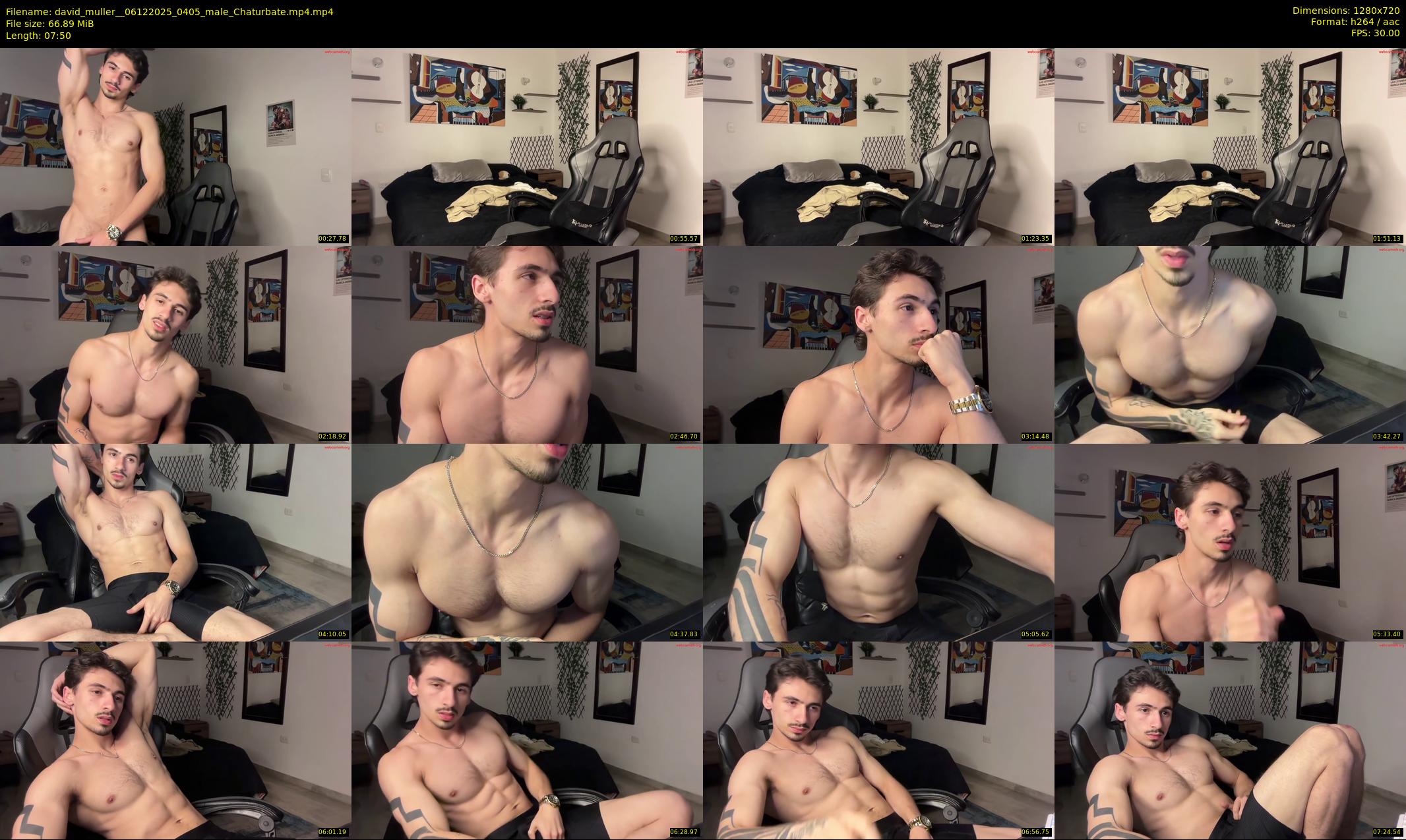 david_muller_ — 8 minute Chaturbate male cam show recording, 720p, Dec 6, 2025