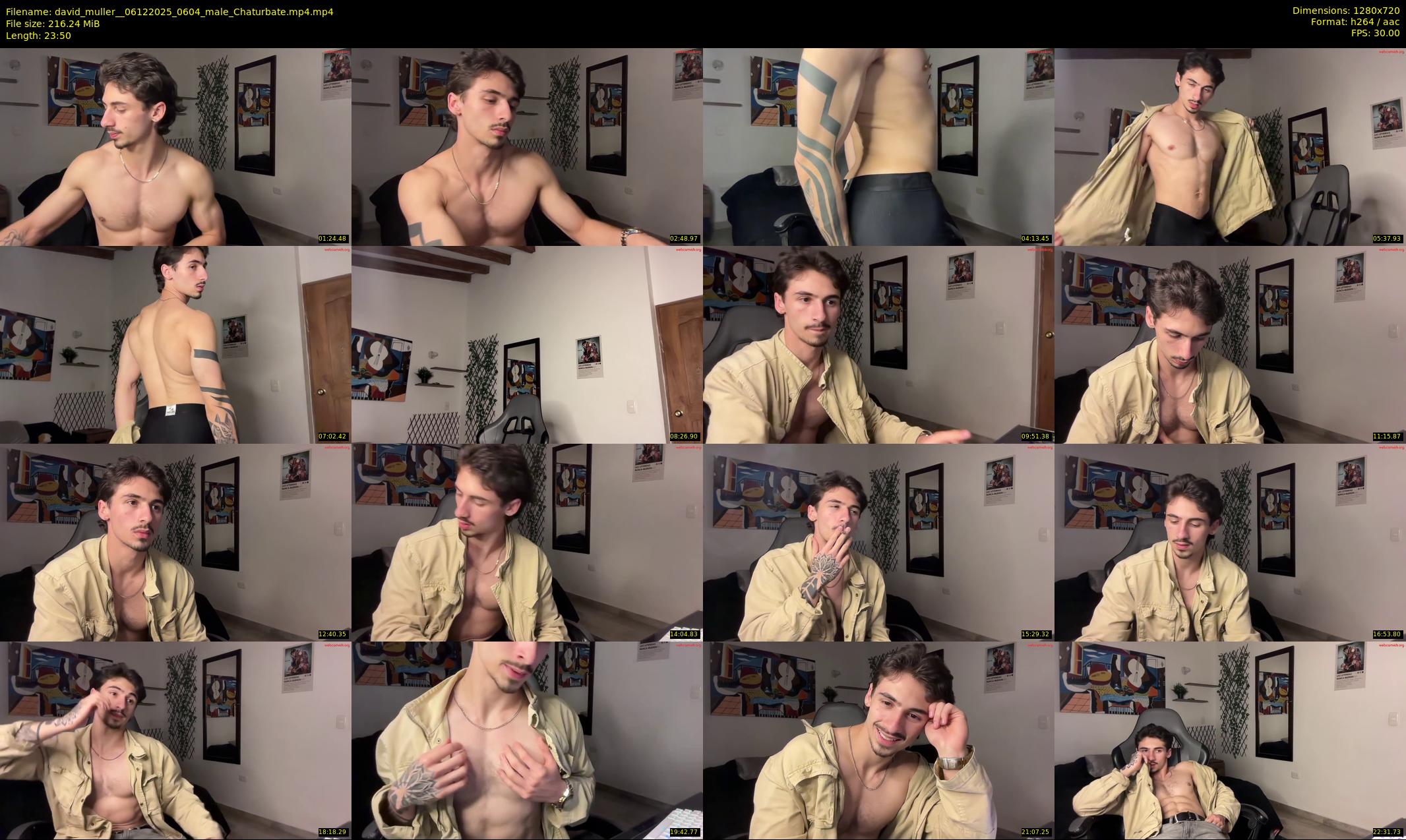 david_muller_ — 24 minute Chaturbate male cam show recording, 720p, Dec 6, 2025