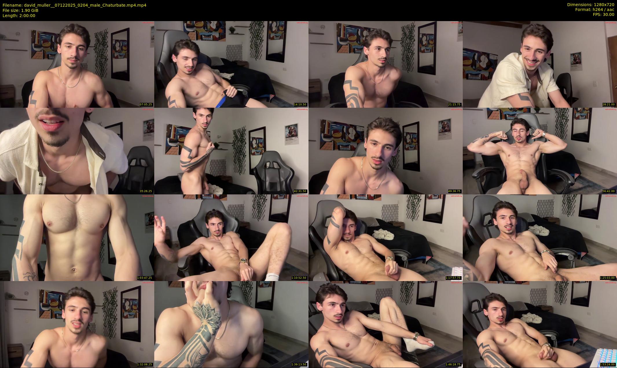 david_muller_ — 120 minute Chaturbate male cam show recording, 720p, Dec 7, 2025