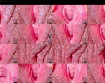 horny_moly — 37 minute Chaturbate female cam show recording, 720p, Dec 6, 2025