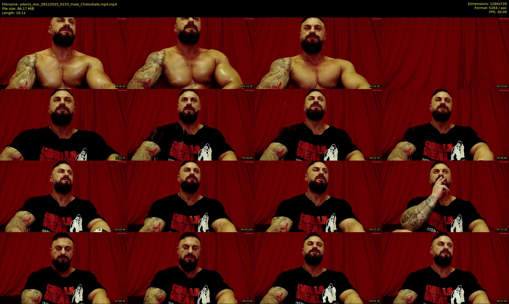 adonis_msc — 11 minute Chaturbate male cam show recording, 720p, Dec 9, 2025