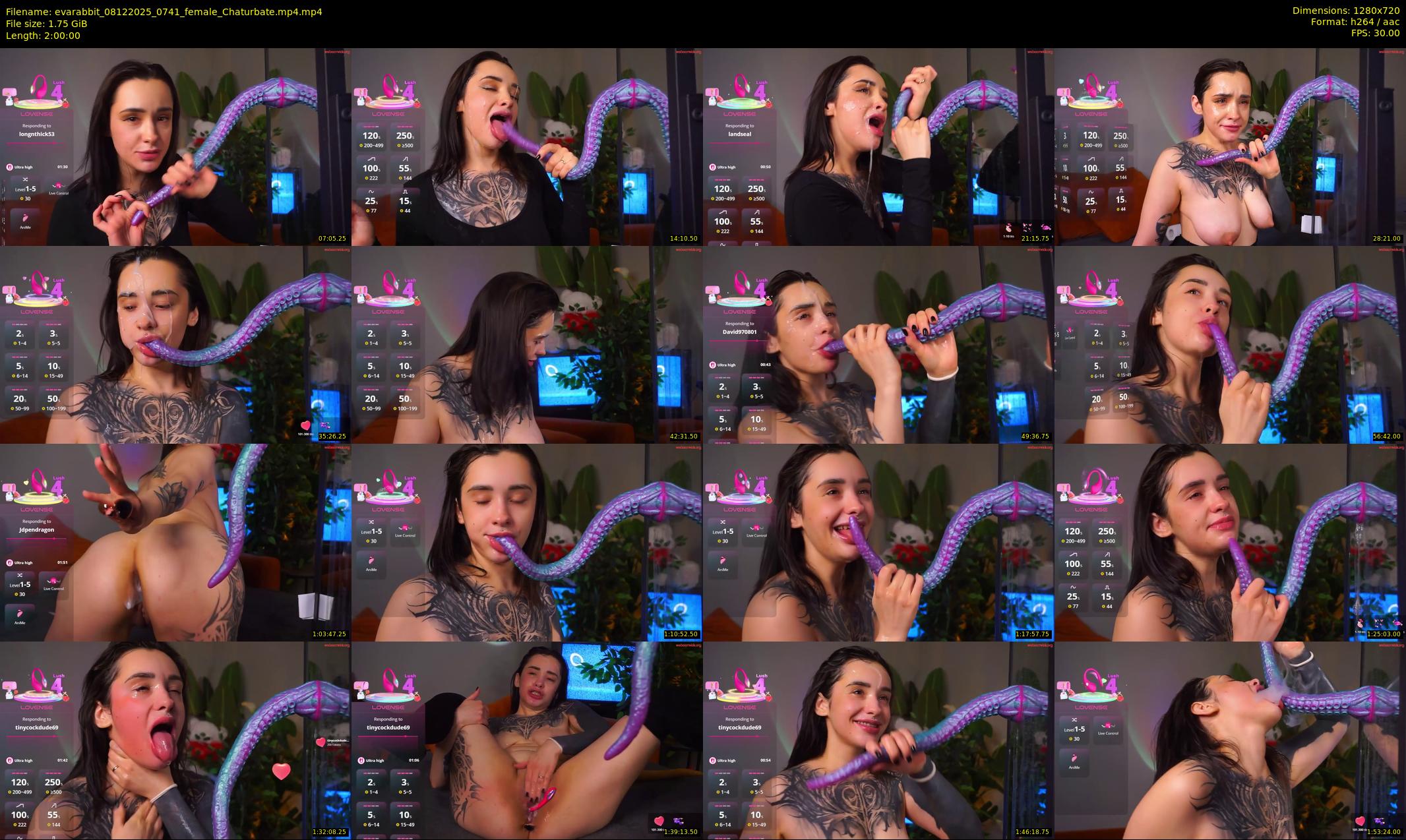 evarabbit — 120 minute Chaturbate female cam show recording, 720p, Dec 8, 2025