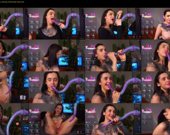 evarabbit — 120 minute Chaturbate female cam show recording, 720p, Dec 8, 2025