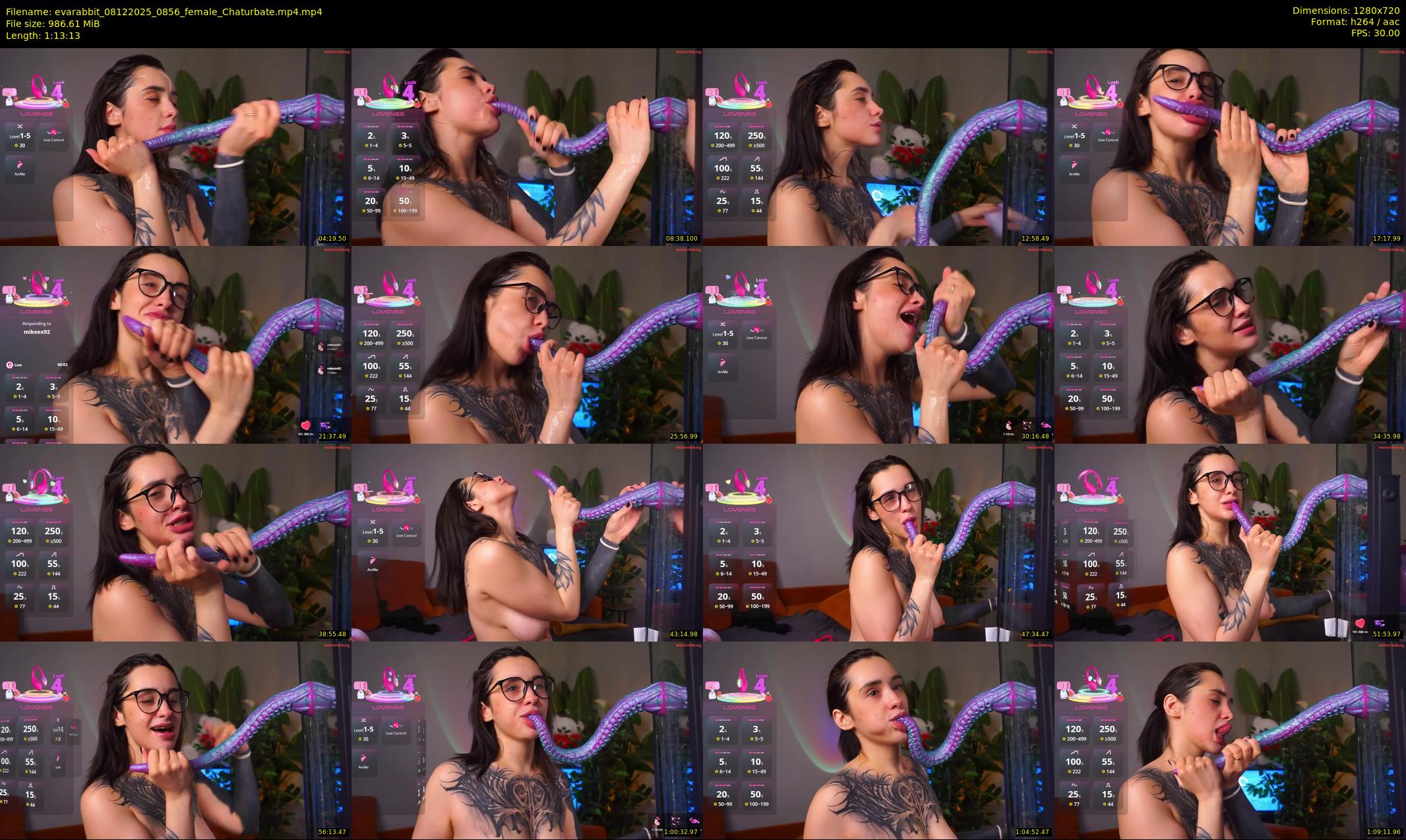 evarabbit — 74 minute Chaturbate female cam show recording, 720p, Dec 8, 2025
