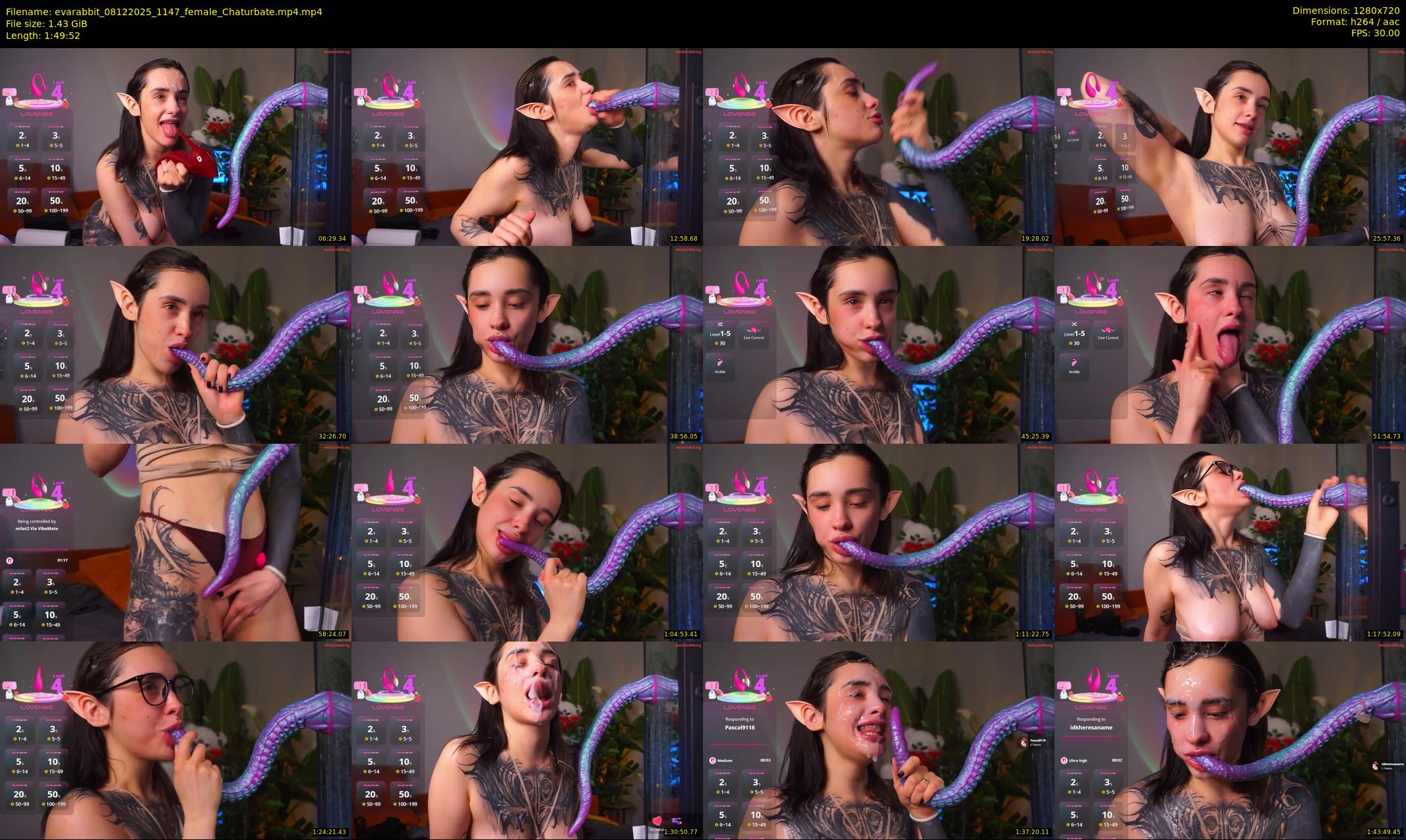 evarabbit — 110 minute Chaturbate female cam show recording, 720p, Dec 8, 2025