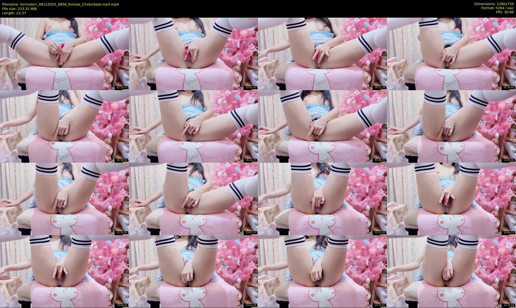 horinatori — 24 minute Chaturbate female cam show recording, 720p, Dec 8, 2025