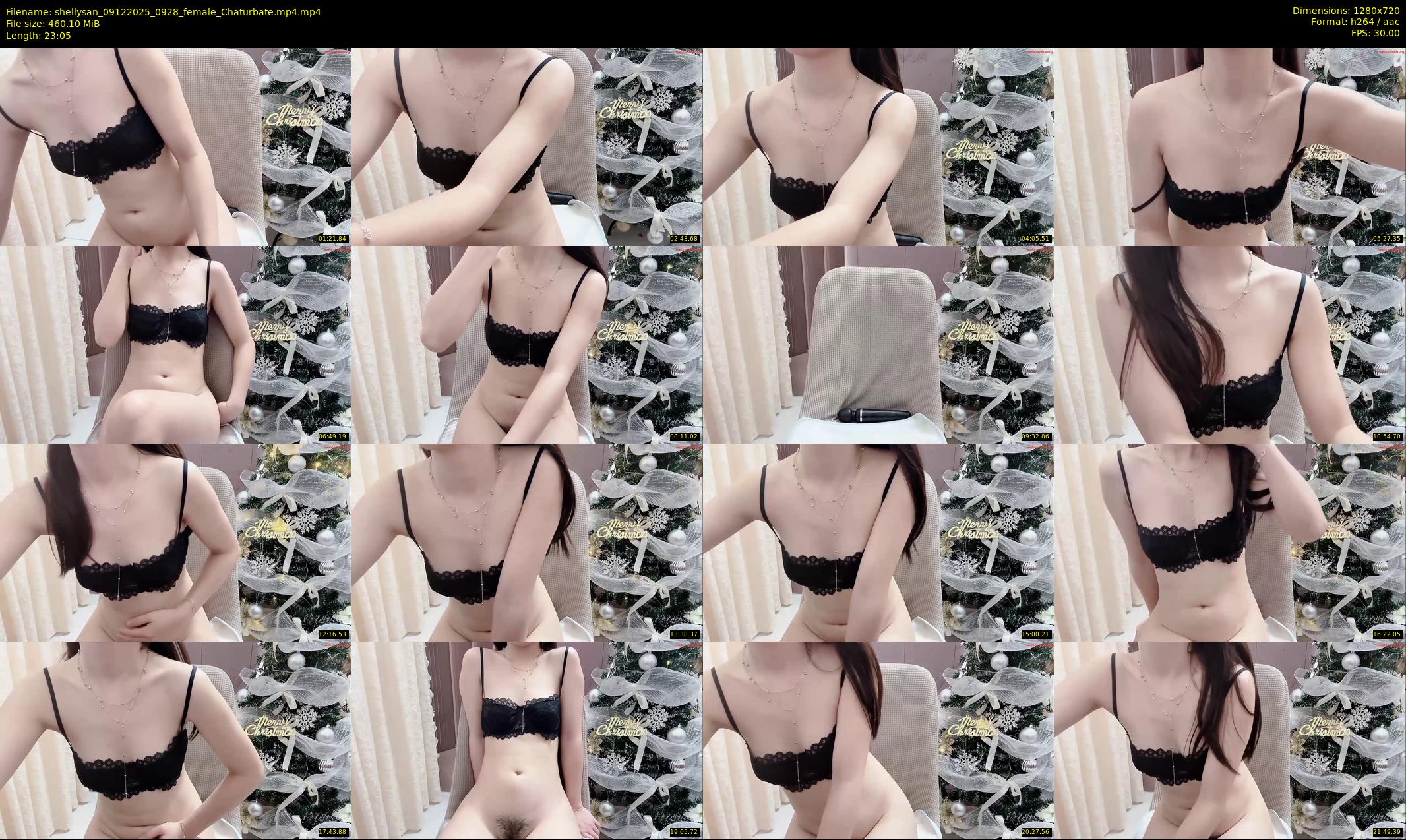 shellysan — 24 minute Chaturbate female cam show recording, 720p, Dec 9, 2025
