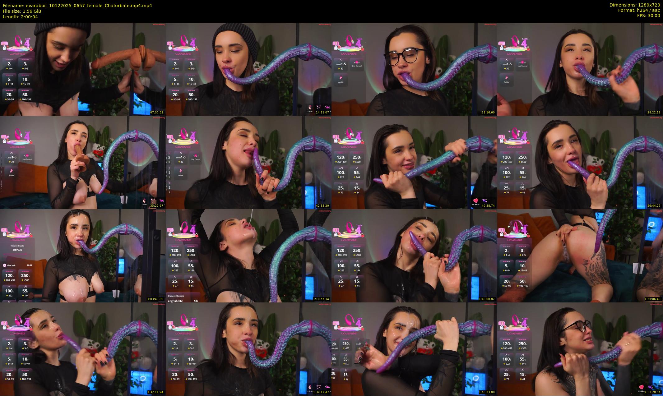 evarabbit — 121 minute Chaturbate female cam show recording, 720p, Dec 10, 2025