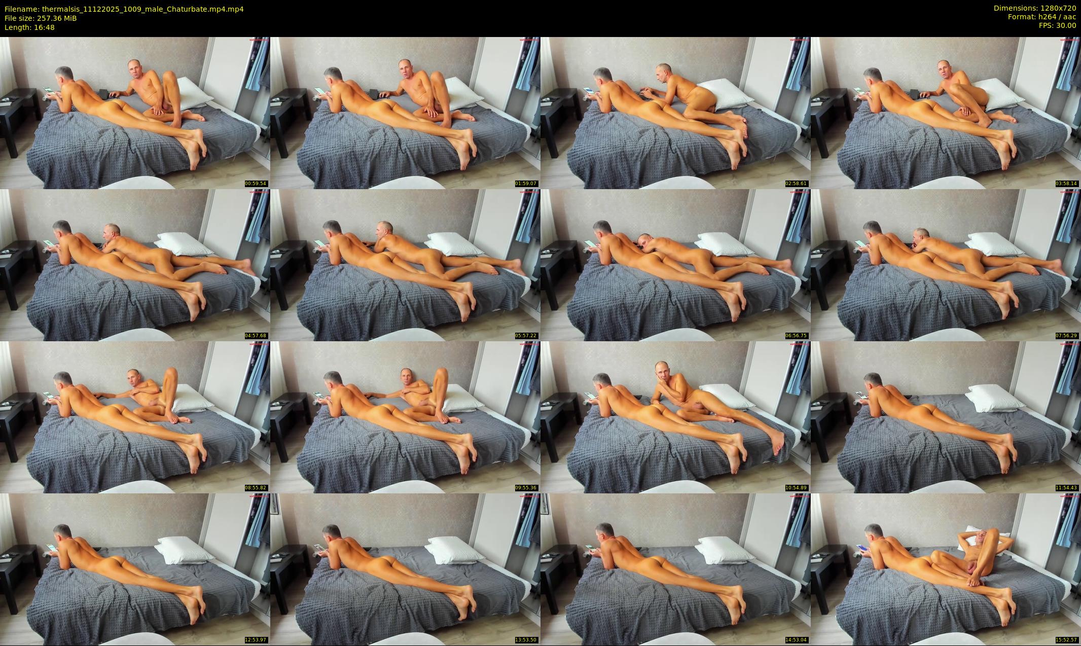 thermalsis — 17 minute Chaturbate male cam show recording, 720p, Dec 11, 2025