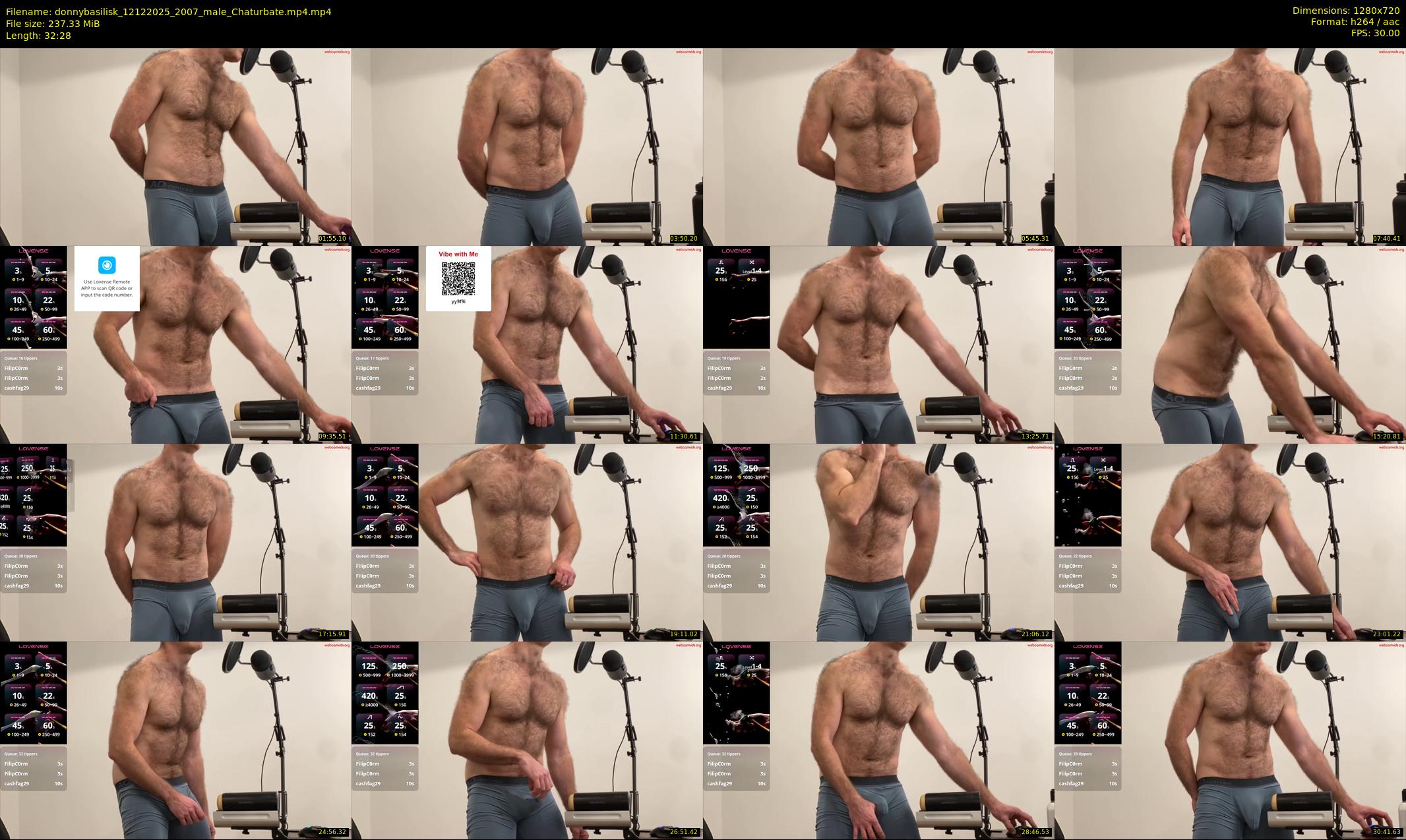 donnybasilisk — 33 minute Chaturbate male cam show recording, 720p, Dec 12, 2025
