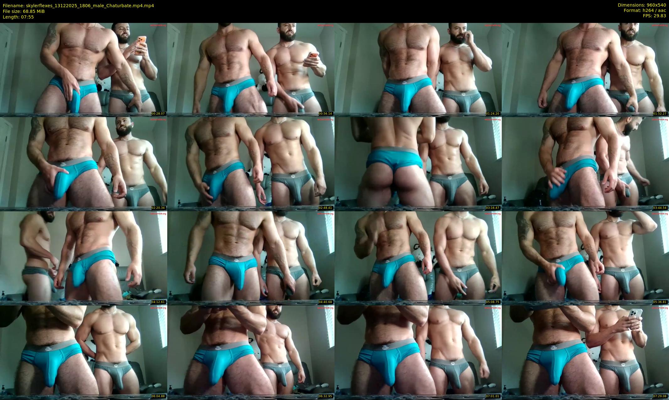 skylerflexes — 8 minute Chaturbate male cam show recording, 480p, Dec 13, 2025