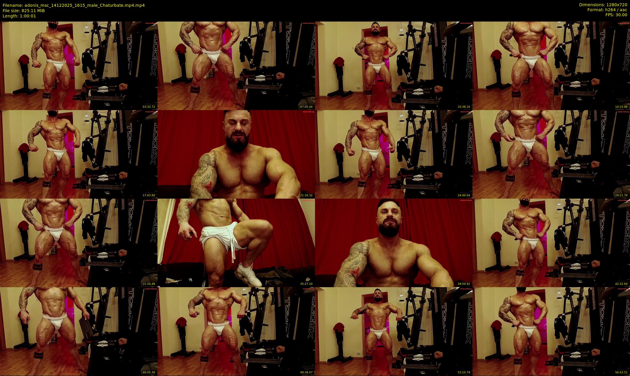adonis_msc — 61 minute Chaturbate male cam show recording, 720p, Dec 14, 2025