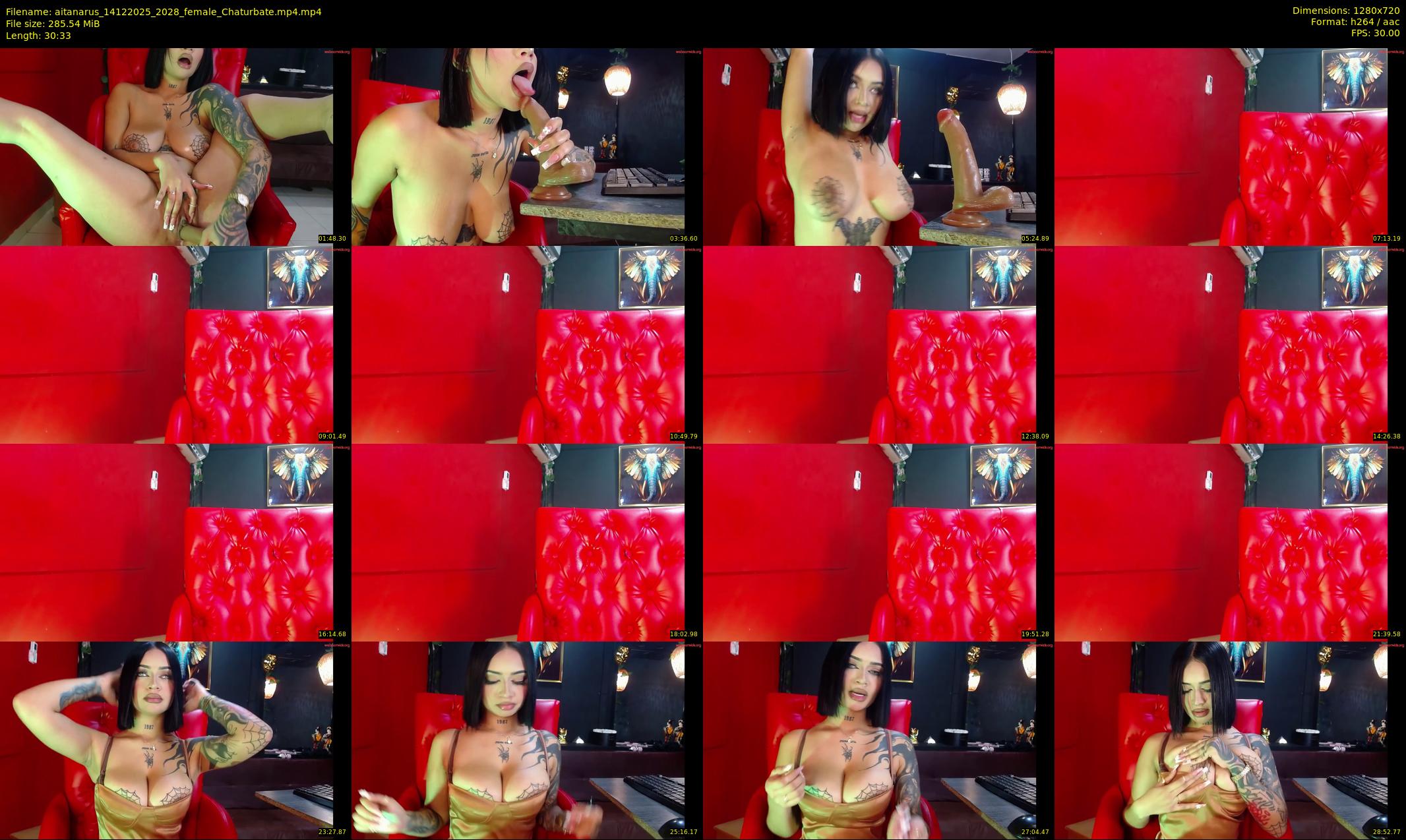 aitanarus — 31 minute Chaturbate female cam show recording, 720p, Dec 14, 2025