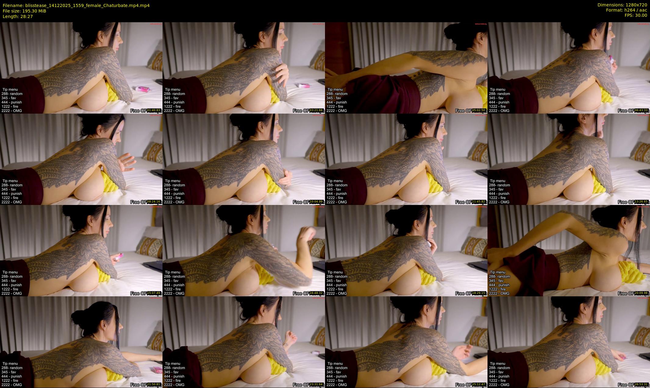 blisstease — 29 minute Chaturbate female cam show recording, 720p, Dec 14, 2025