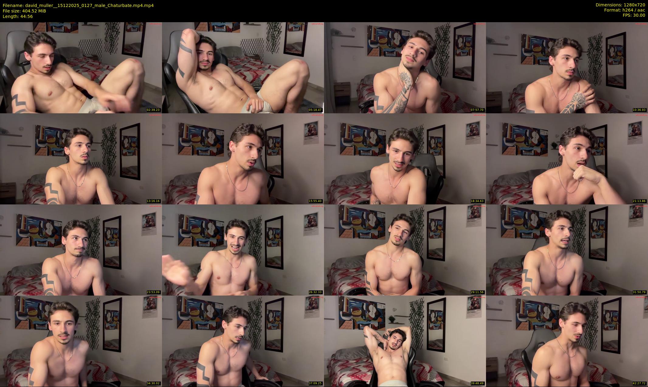 david_muller_ — 45 minute Chaturbate male cam show recording, 720p, Dec 15, 2025