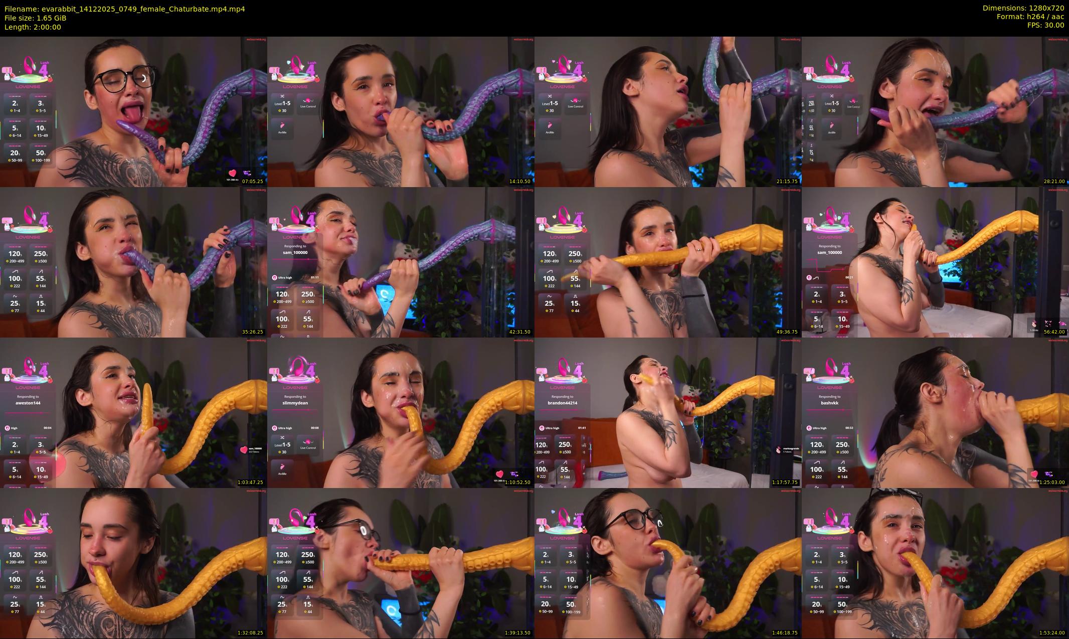 evarabbit — 120 minute Chaturbate female cam show recording, 720p, Dec 14, 2025