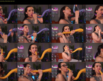 evarabbit — 120 minute Chaturbate female cam show recording, 720p, Dec 14, 2025