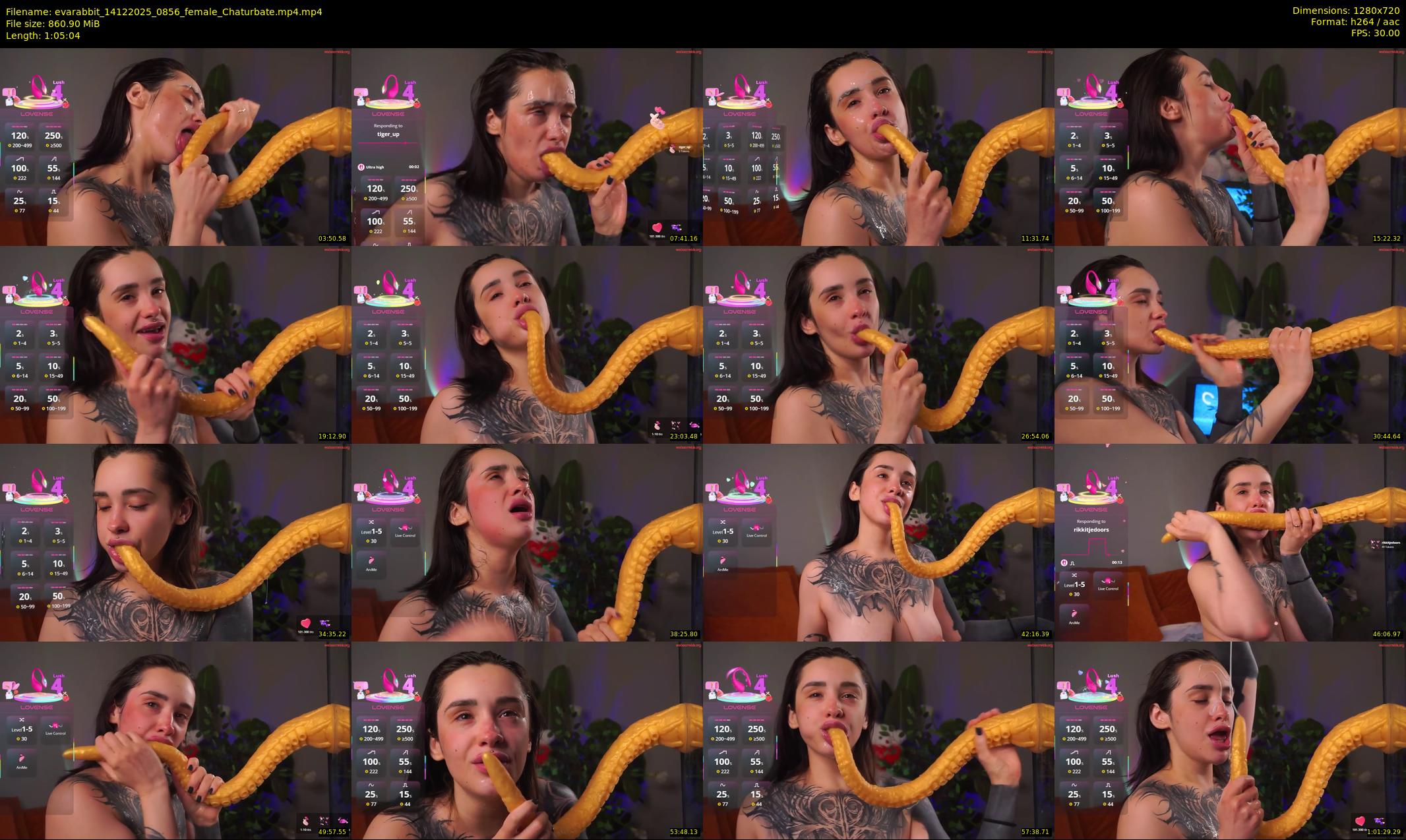 evarabbit — 66 minute Chaturbate female cam show recording, 720p, Dec 14, 2025