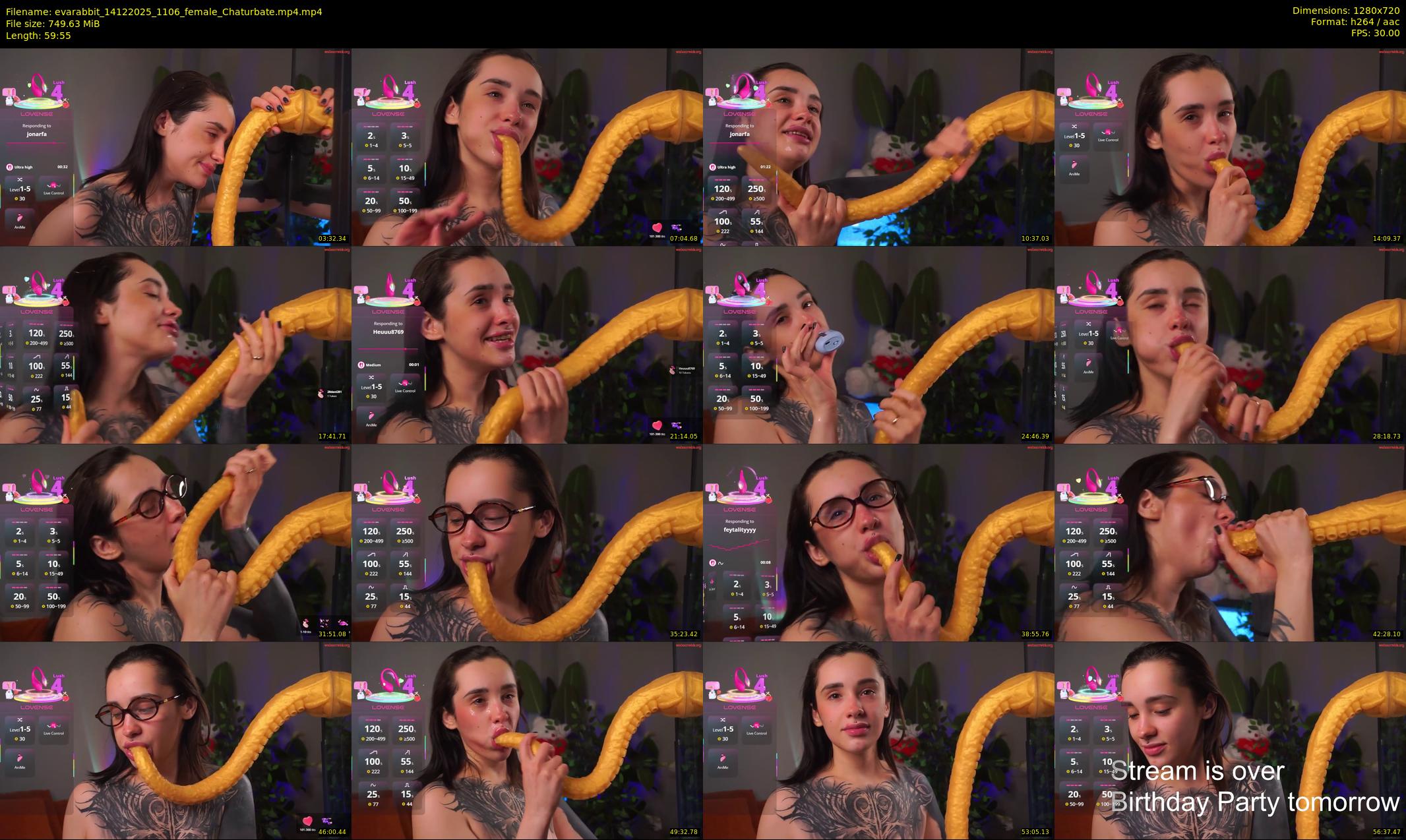 evarabbit — 60 minute Chaturbate female cam show recording, 720p, Dec 14, 2025