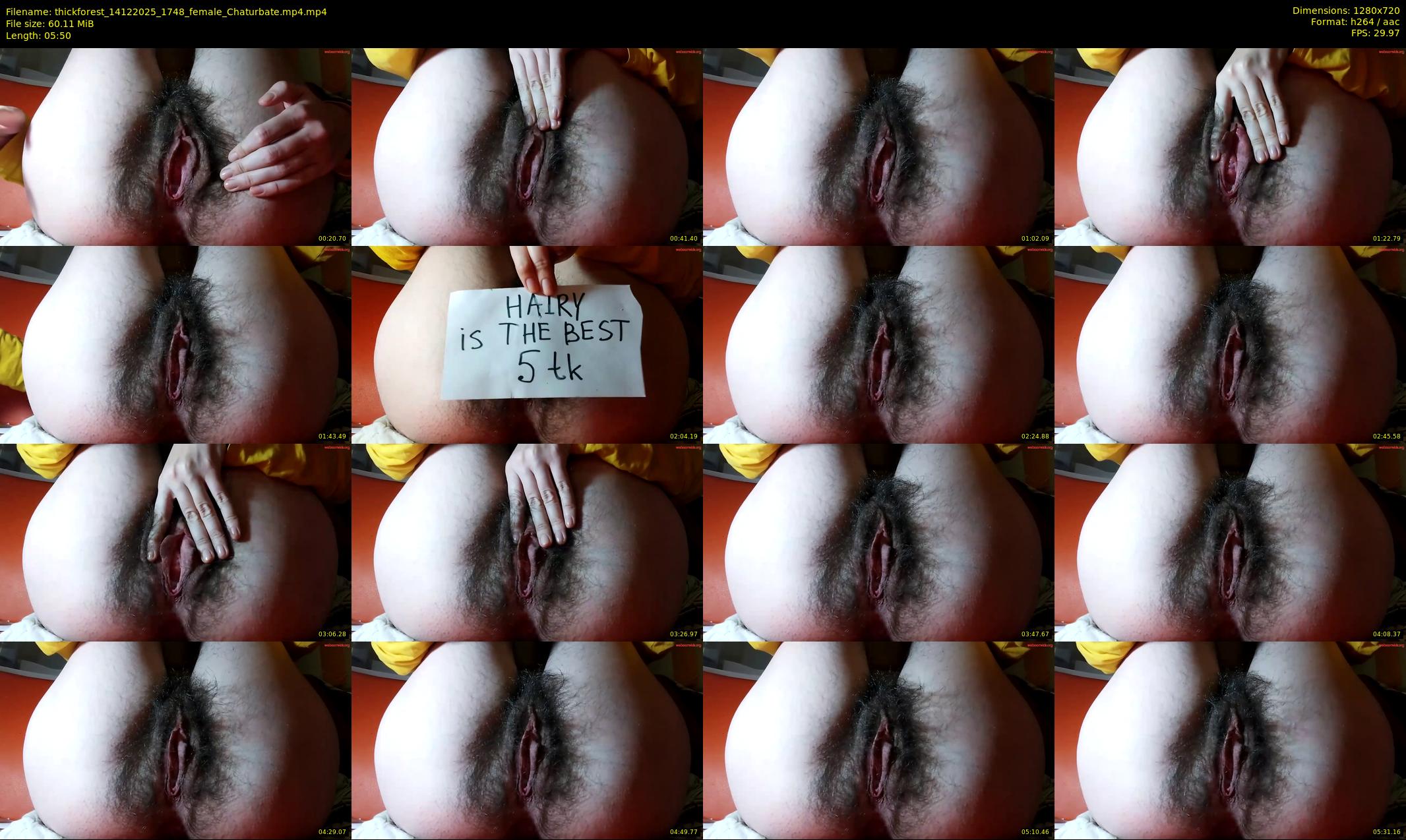 thickforest — 6 minute Chaturbate female cam show recording, 720p, Dec 14, 2025