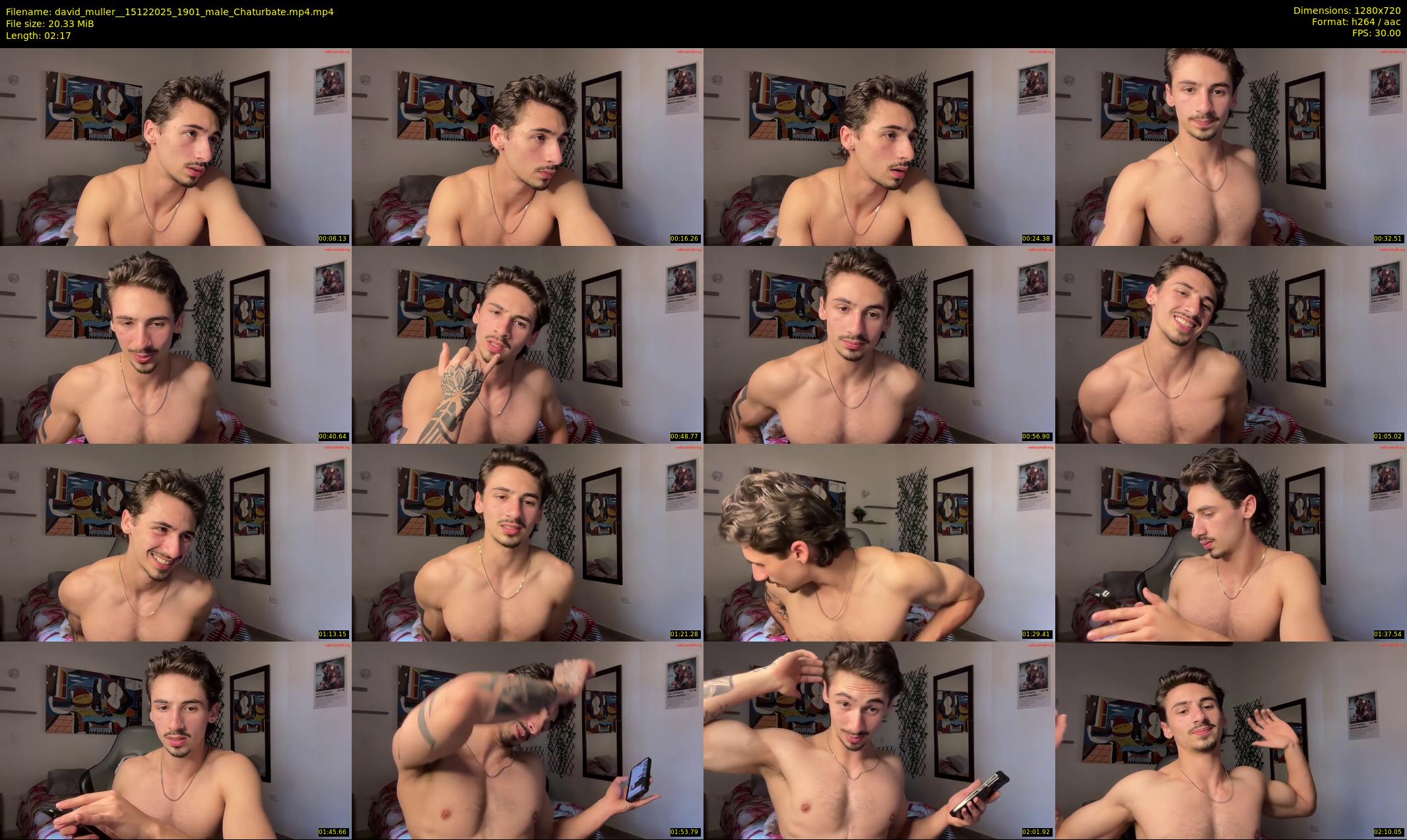 david_muller_ — 3 minute Chaturbate male cam show recording, 720p, Dec 15, 2025