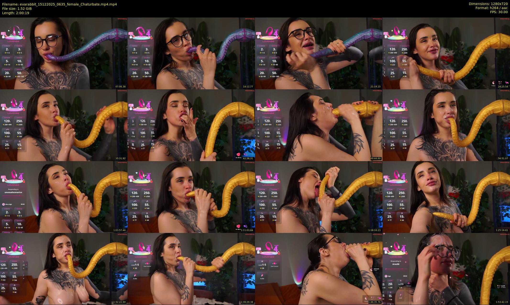 evarabbit — 121 minute Chaturbate female cam show recording, 720p, Dec 15, 2025