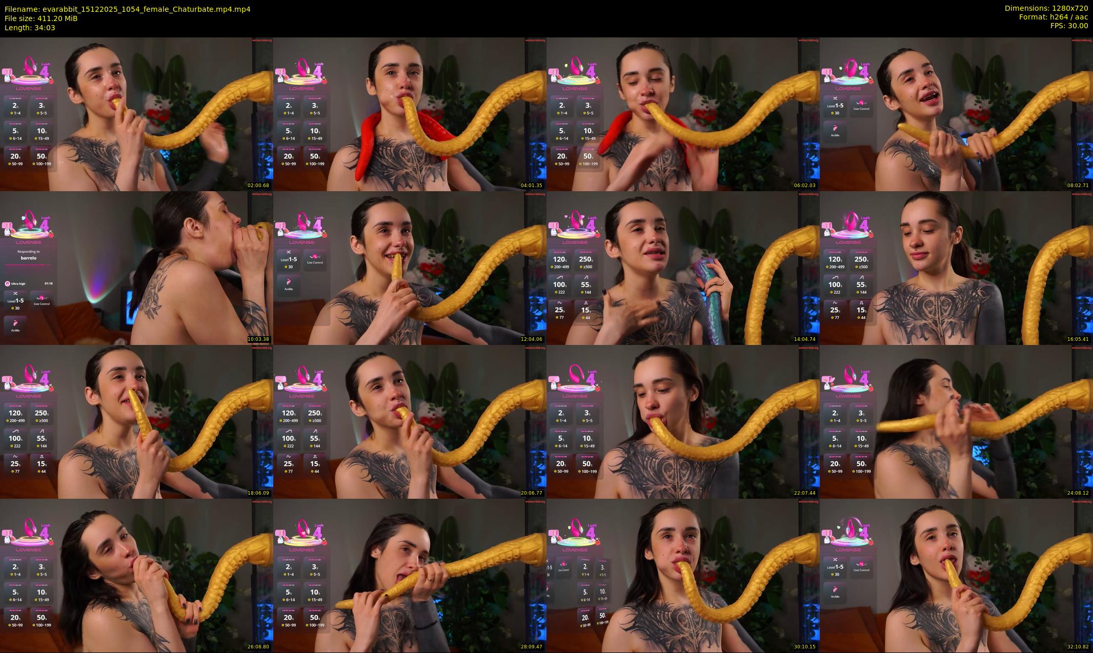 evarabbit — 35 minute Chaturbate female cam show recording, 720p, Dec 15, 2025