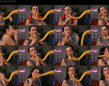 evarabbit — 35 minute Chaturbate female cam show recording, 720p, Dec 15, 2025