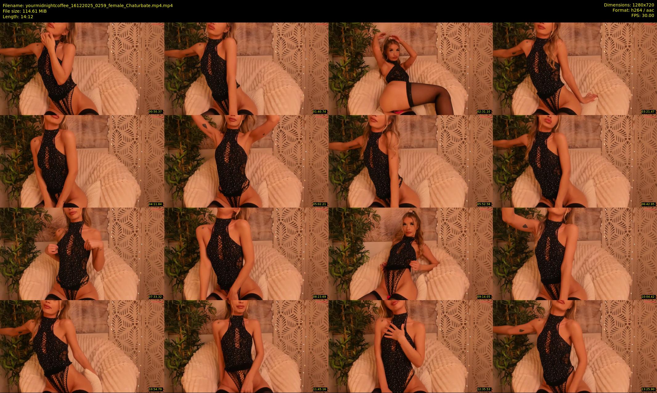 yourmidnightcoffee — 15 minute Chaturbate female cam show recording, 720p, Dec 16, 2025