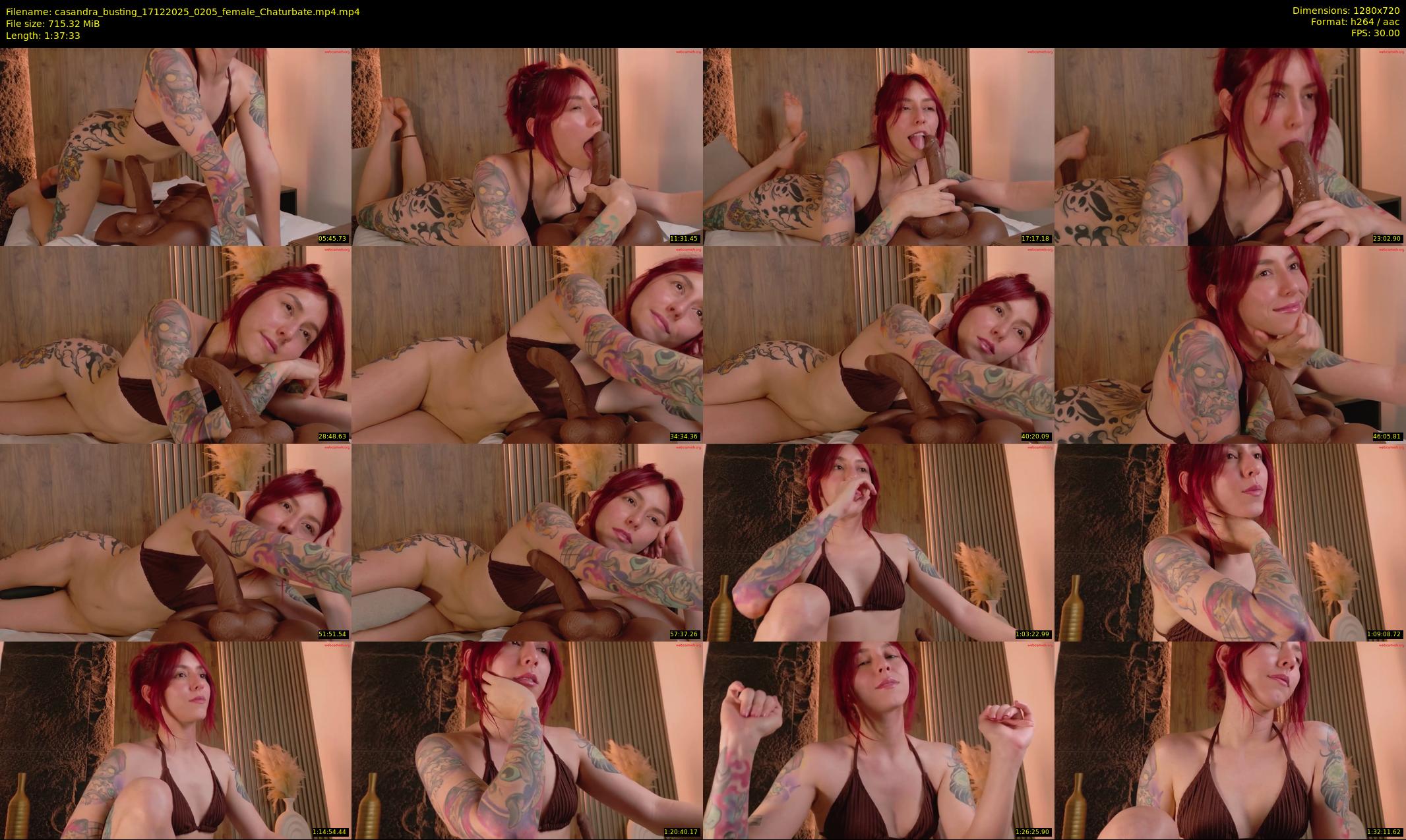 casandra_busting — 98 minute Chaturbate female cam show recording, 720p, Dec 17, 2025