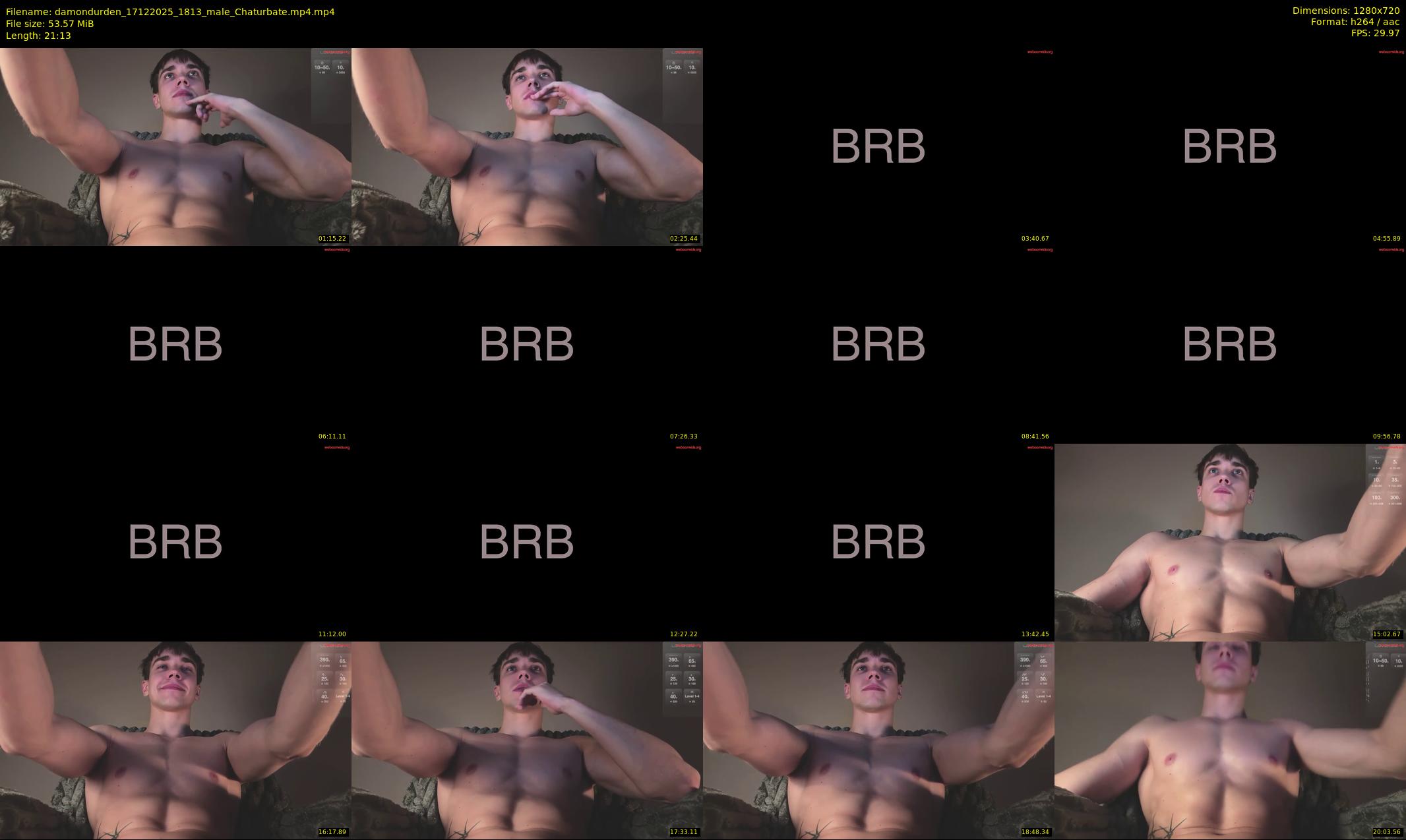 damondurden — 22 minute Chaturbate male cam show recording, 720p, Dec 17, 2025