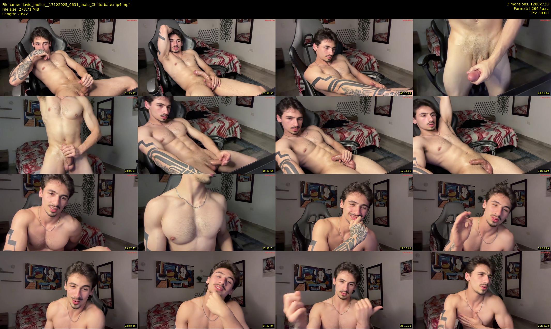 david_muller_ — 30 minute Chaturbate male cam show recording, 720p, Dec 17, 2025