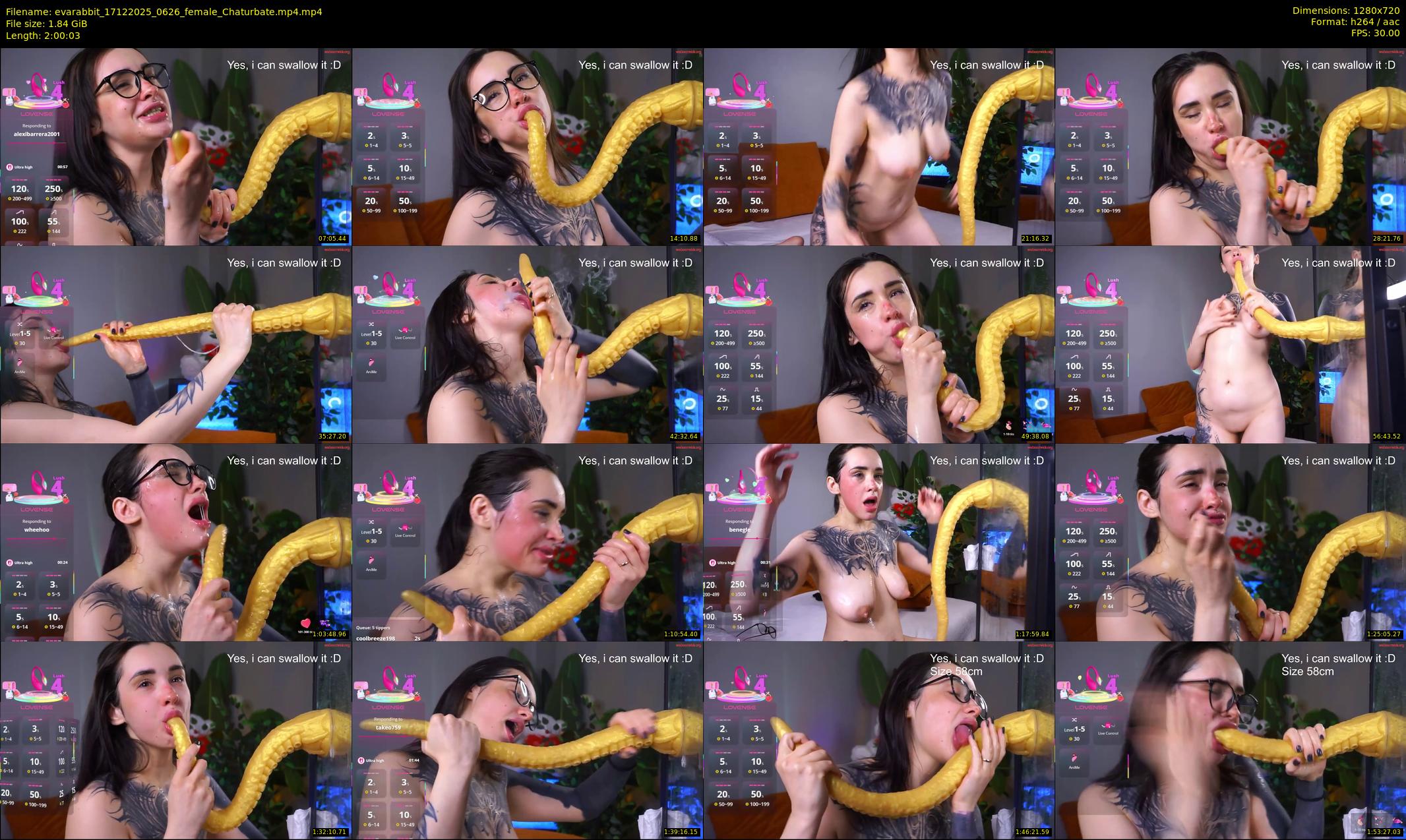 evarabbit — 121 minute Chaturbate female cam show recording, 720p, Dec 17, 2025