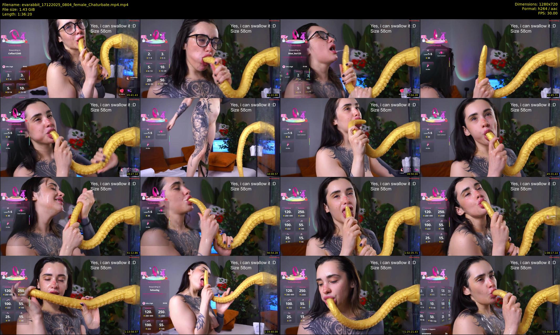 evarabbit — 97 minute Chaturbate female cam show recording, 720p, Dec 17, 2025