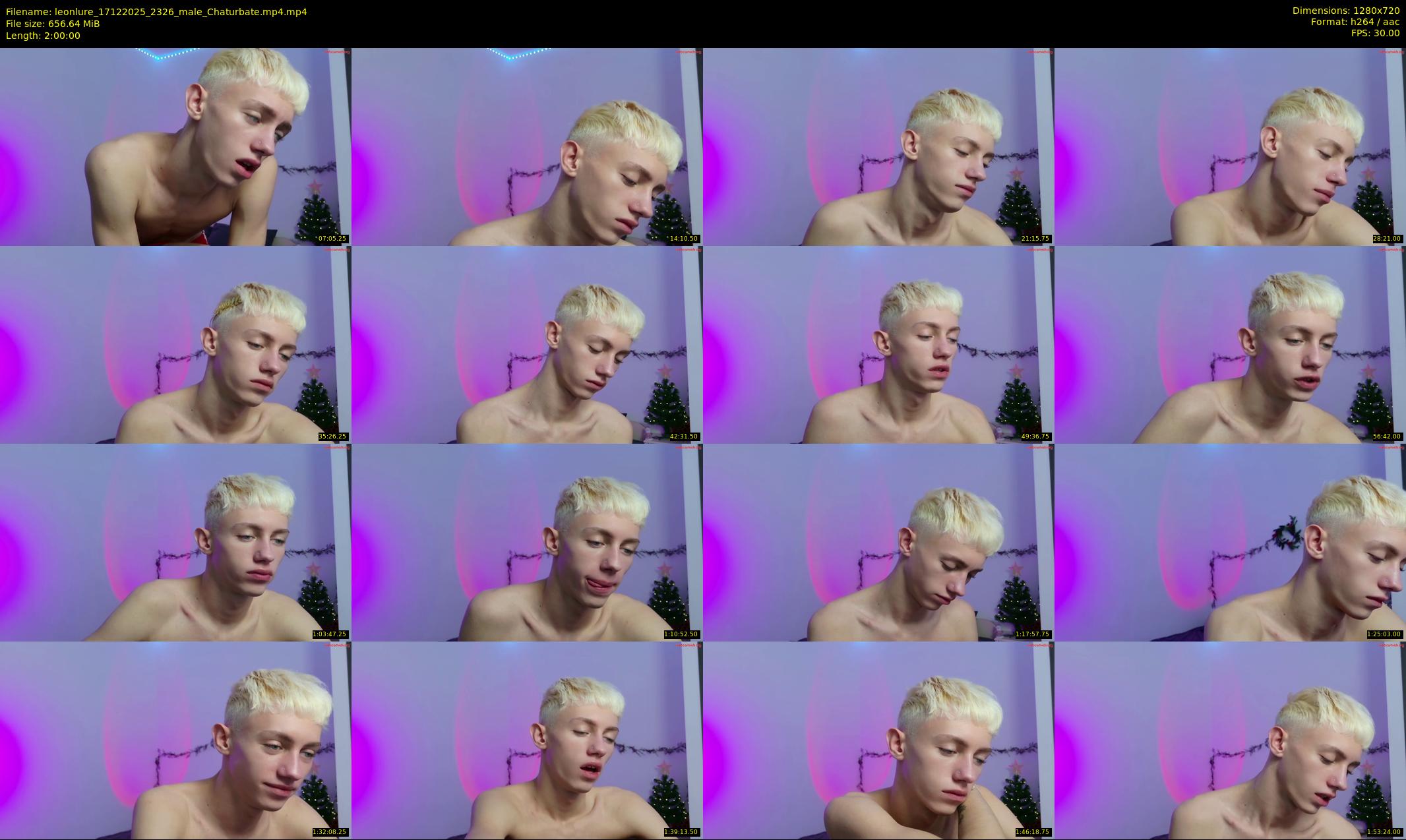 leonlure — 120 minute Chaturbate male cam show recording, 720p, Dec 17, 2025