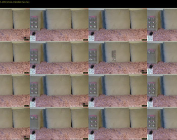 anna_countach — 4 minute Chaturbate female cam show recording, 720p, Dec 18, 2025