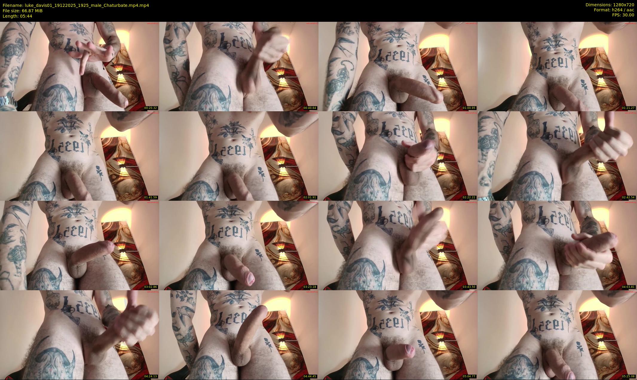luke_davis01 — 6 minute Chaturbate male cam show recording, 720p, Dec 19, 2025