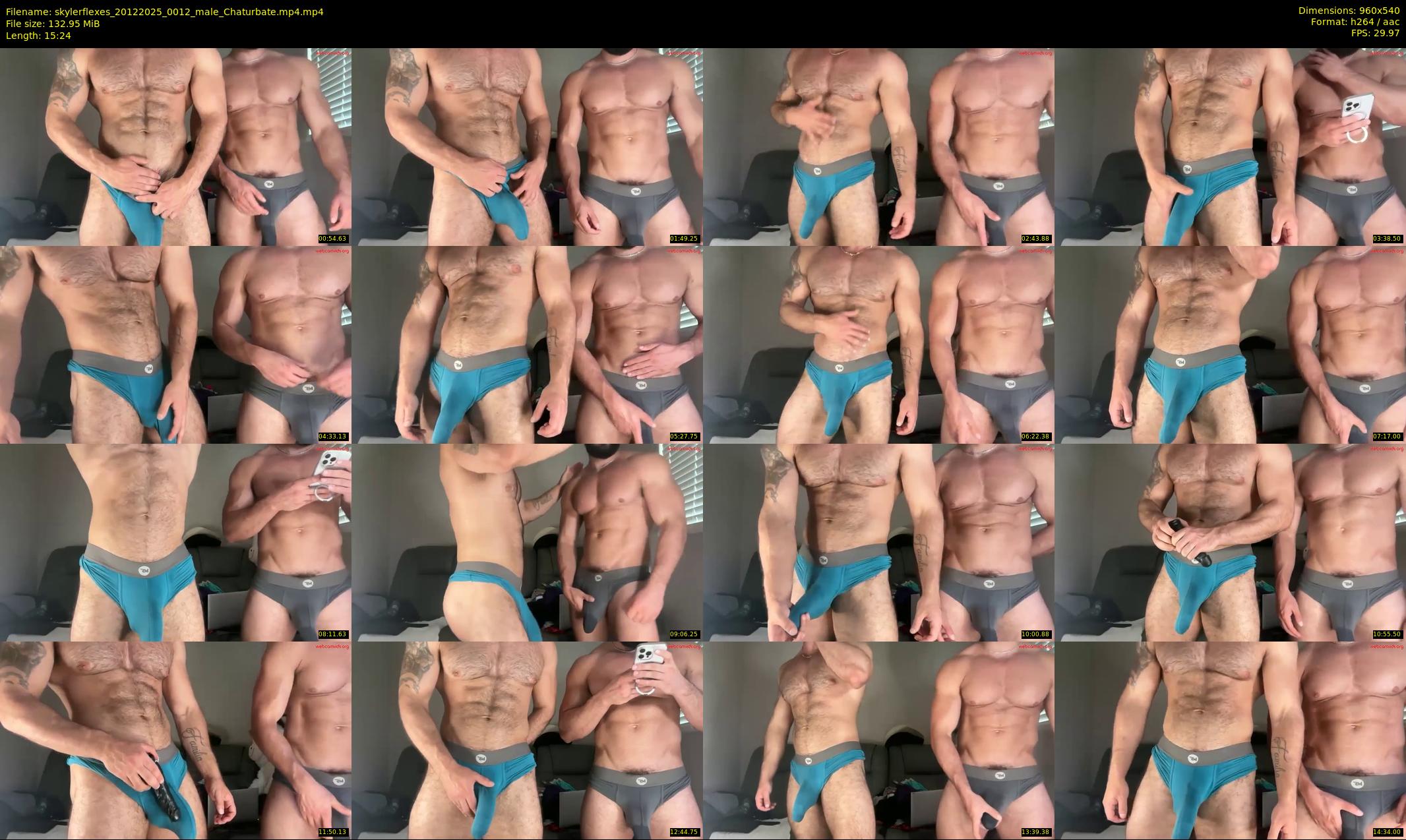 skylerflexes — 16 minute Chaturbate male cam show recording, 480p, Dec 20, 2025