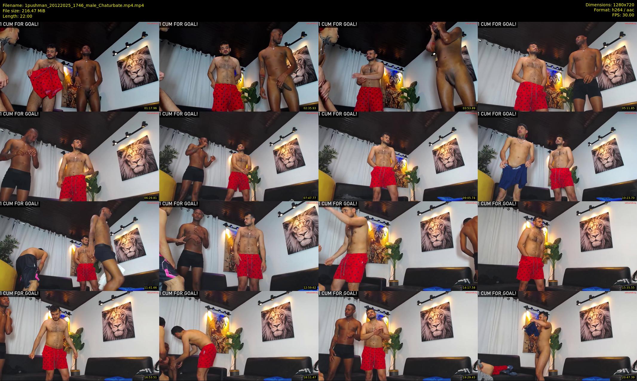 1pushman — 22 minute Chaturbate male cam show recording, 720p, Dec 20, 2025