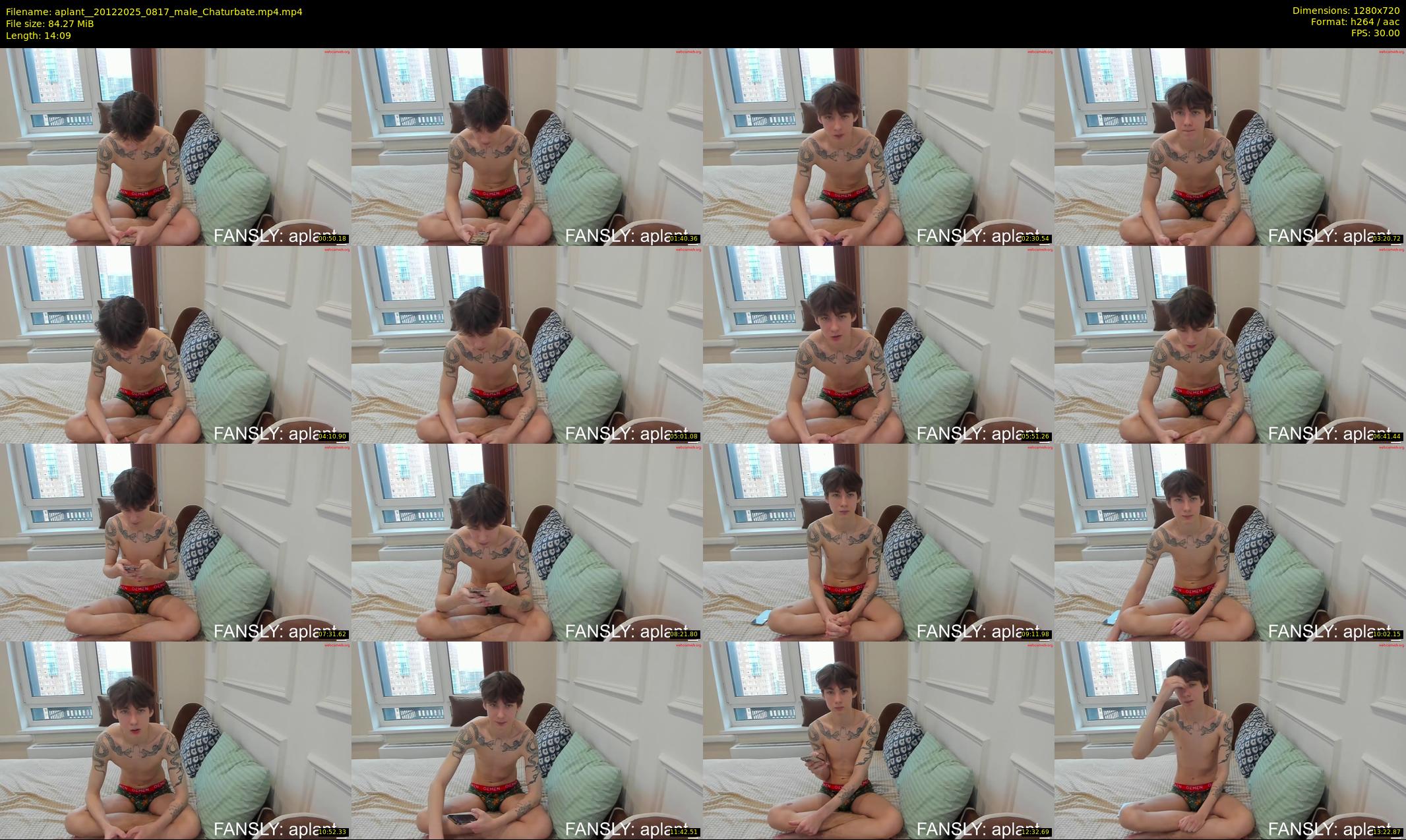 aplant_ — 15 minute Chaturbate male cam show recording, 720p, Dec 20, 2025