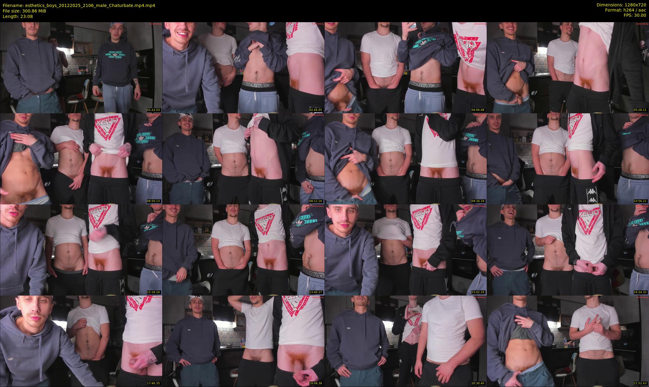 esthetics_boys — 24 minute Chaturbate male cam show recording, 720p, Dec 20, 2025